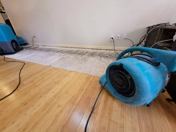 Professional Flood Damage Cleanup technician working in Ripley, MS